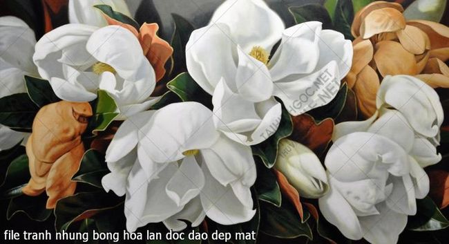 file tranh nhung bong hoa lan doc dao dep mat